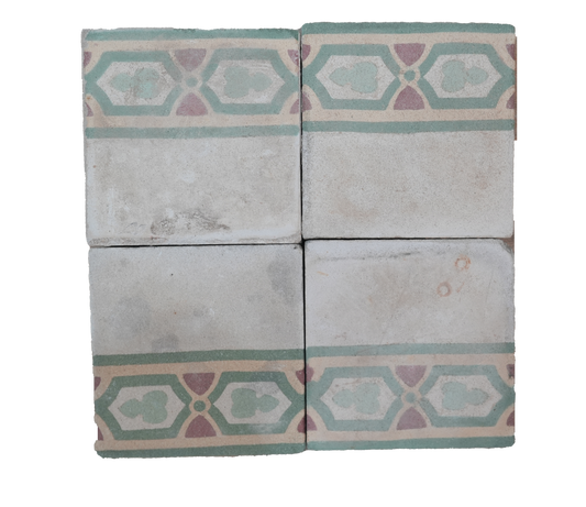 Verdure Border Encaustic Tile AB016