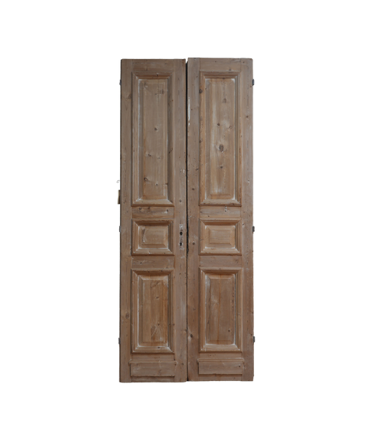 French Raised Panel Antique Door AG170