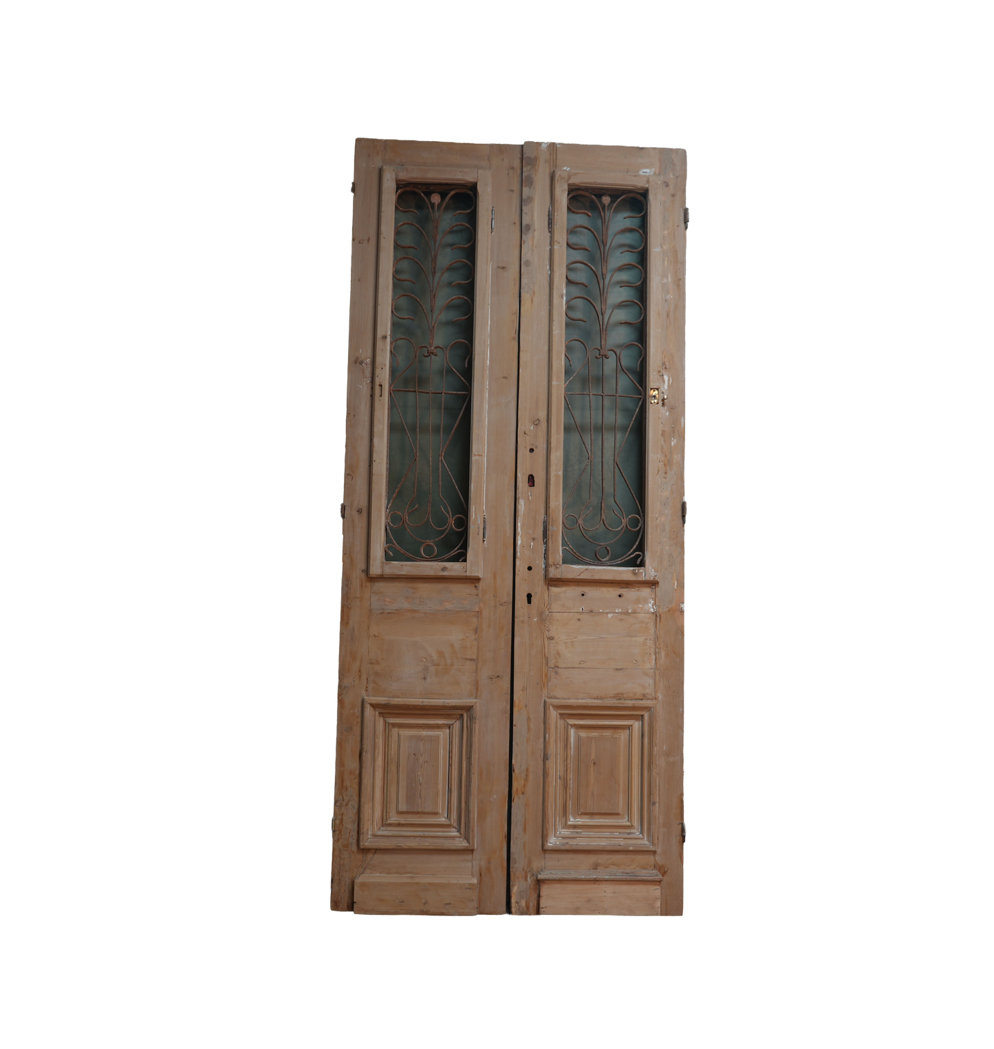 French Raised Panel Iron Antique Door AG242