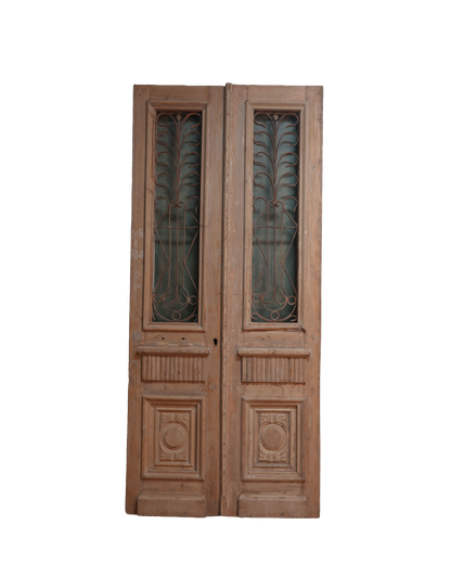 French Raised Panel Iron Antique Door AG243