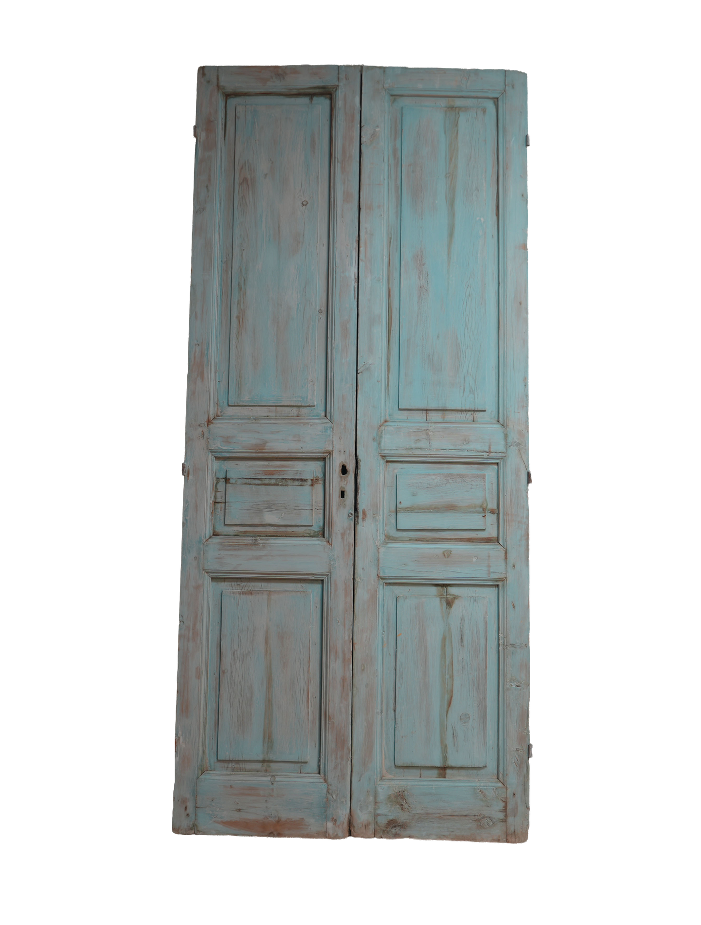 French Raised Panel Antique Door AG308