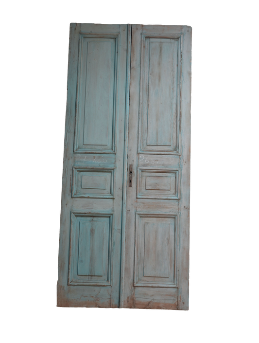 French Raised Panel Antique Door AG308