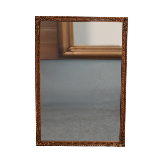 Antique Gold Mirror Vine Border ZZ008