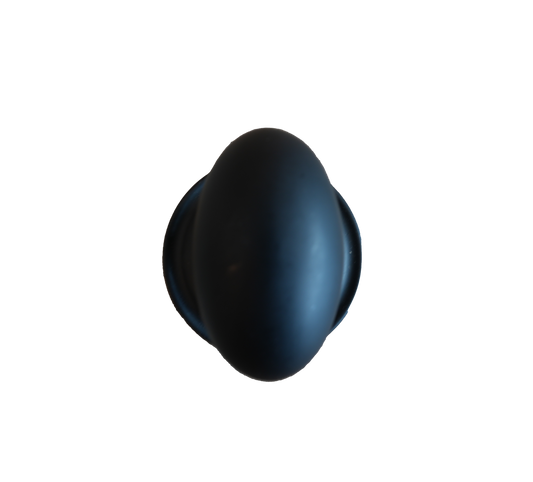 Baldwin Black Dummy Knob ZZ031