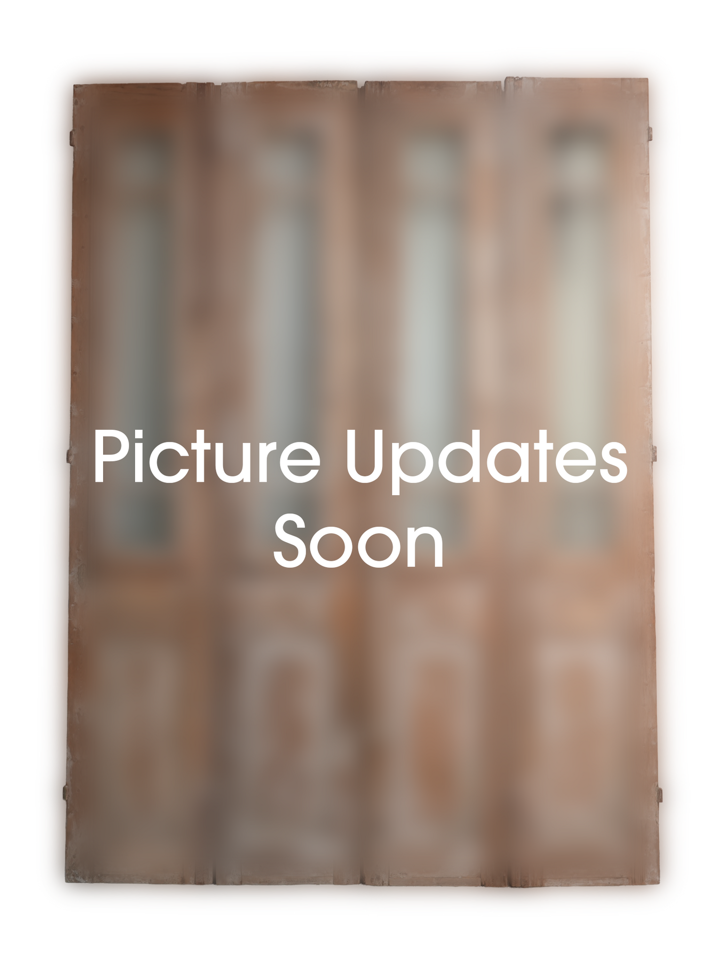 French Raised Panel Antique Door AG260