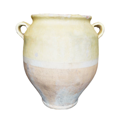 Yellow Confit Jar ZZ039